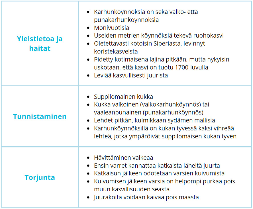 karhunköynnöstiedor