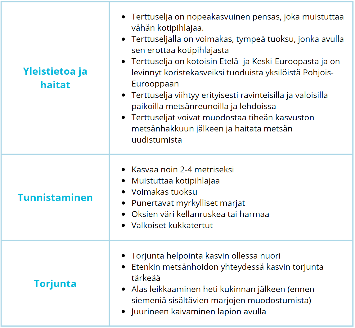 terttuseljatiedot