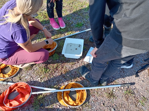 oppilaita työskentelemässä veden äärellä