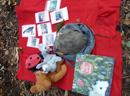 Kuvassa on punaisella peitolla käsinukkeja; siili, leppäkerttu, orava ja pupu. Kuvassa on Metsä Outo vieras-kirja ja kuvakortteja eläinviittomista ja eläinten kuvista