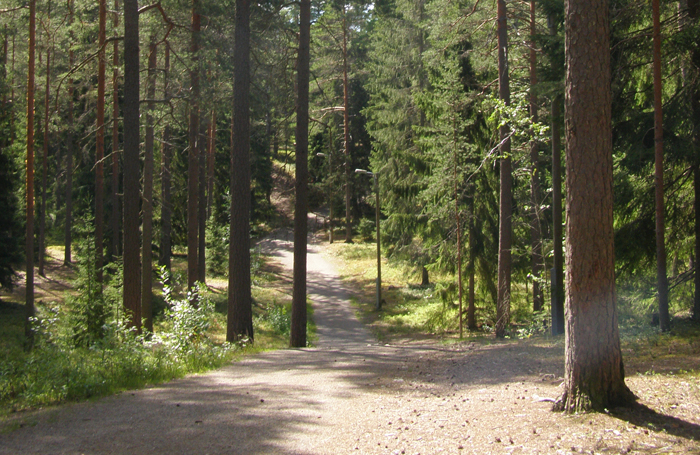 Ulkoilureitti kangasmetsässä.